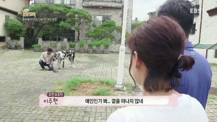 강형욱 훈련사에게 감탄한 세나개 제작진과 견주들.jpg | 인스티즈