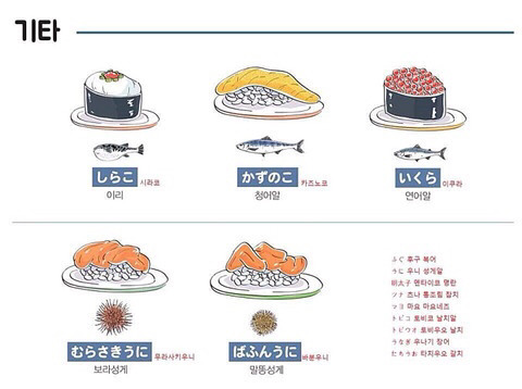 일본어로 스시 주문하기.tip | 인스티즈