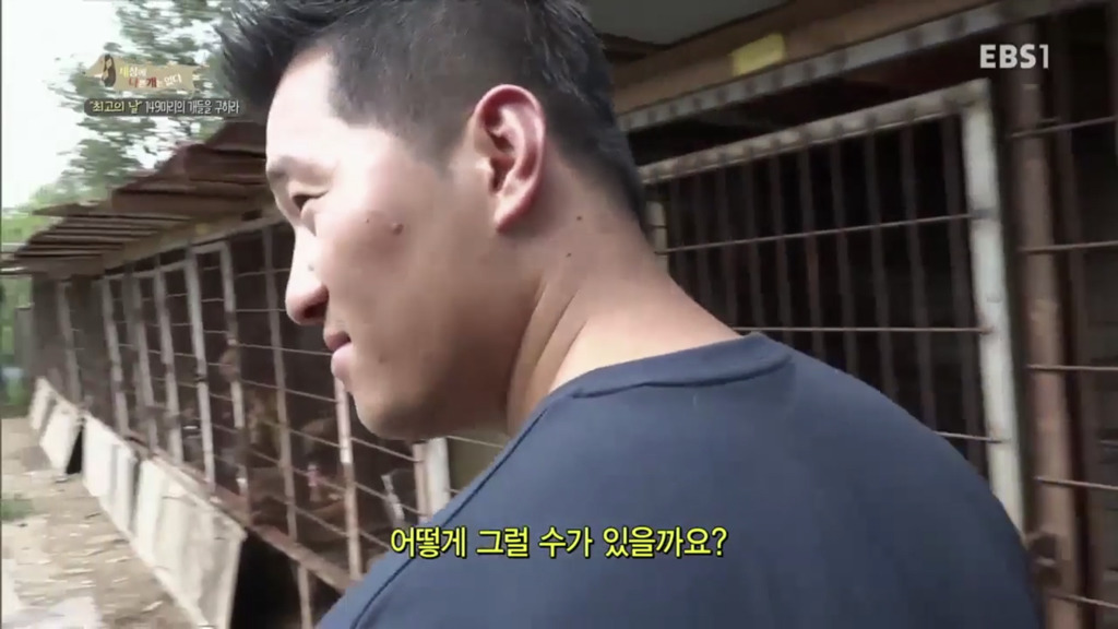 어떻게 사람을 그렇게 좋아할 수 있죠? | 인스티즈