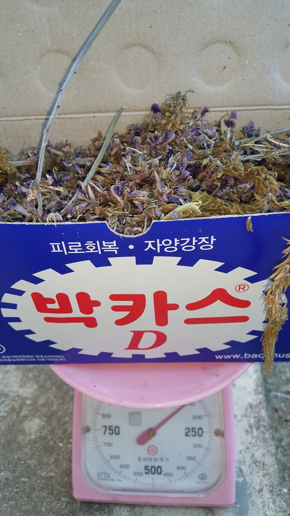 동일건재 이미지