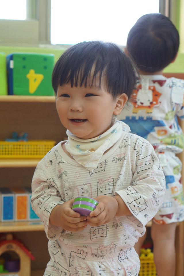 아마데우스악기 이미지