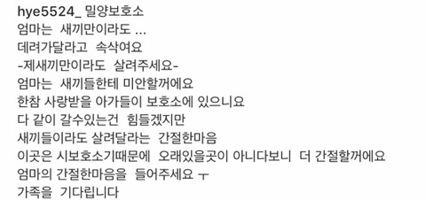 태어난지 얼마 안 된 새끼들과 어미견들이 많은 밀양보호소의 아이들을 구해주세요. 도와주세요 | 인스티즈