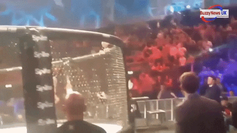 이거 보고 맥그리거에게 정 떨어짐 | 인스티즈