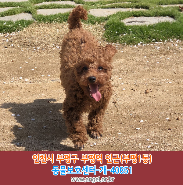 수컷 이미지