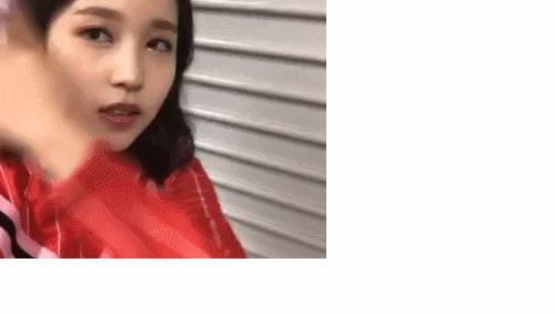 오늘자 근황 전하러 온 묘이 미나 | 인스티즈