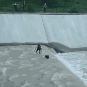길가던 모르는 사람 10명이서 개 구하는 장면.gif | 인스티즈