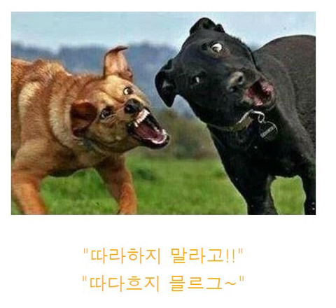 제목학원 레전드.jpg | 인스티즈