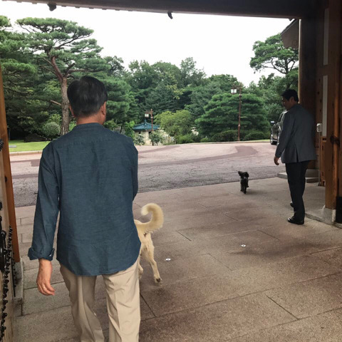 자칭 애견인들에게 동물학대범이라고 까였었던 문재인 대통령 .jpgif | 인스티즈