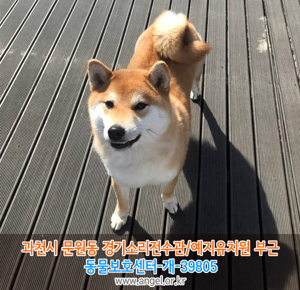 예지유치원 이미지