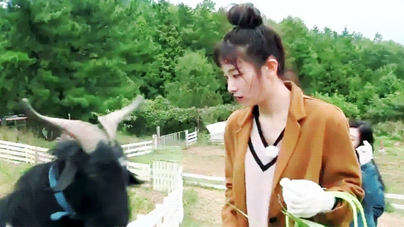 귀여운 슬기.gif | 인스티즈
