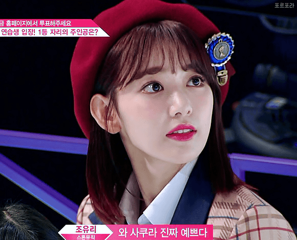 [아이즈원] 멤버들이 안된다고 진지하게 만류한 사쿠라 안경 | 인스티즈