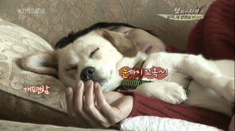 김국진과 반려견 덕구 | 인스티즈