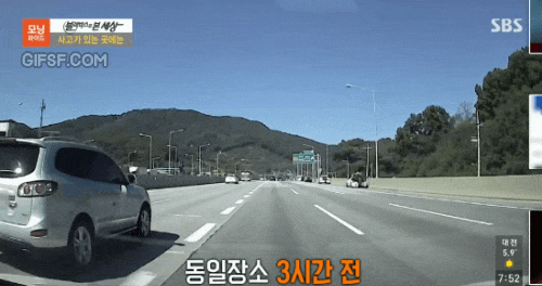 고속도로 위의 하이에나들.gif | 인스티즈
