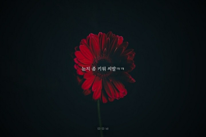 요즘 초딩들 사이에서 유행하는 거 | 인스티즈