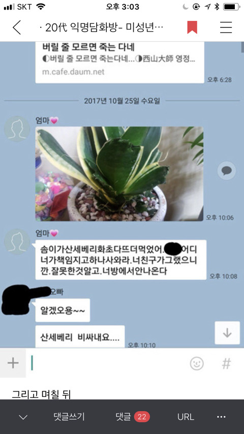 [익웃] 댕댕이가 어머님이 키우시는 산세베리아 뜯어먹음 | 인스티즈