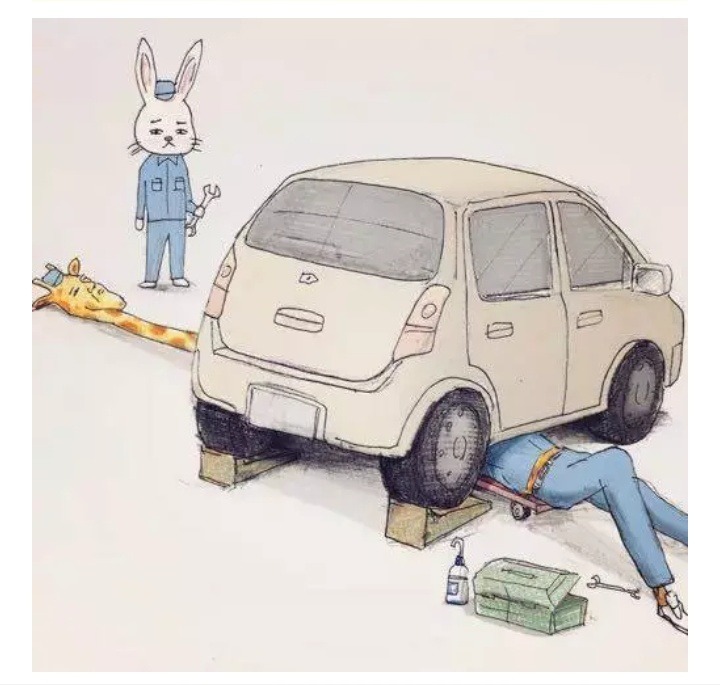 사람이었다면 힘들었을 동물들 | 인스티즈