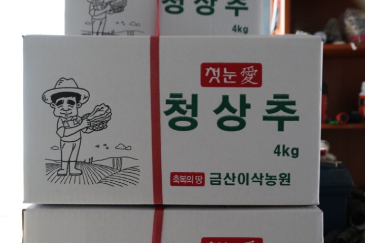 첫눈애 이미지