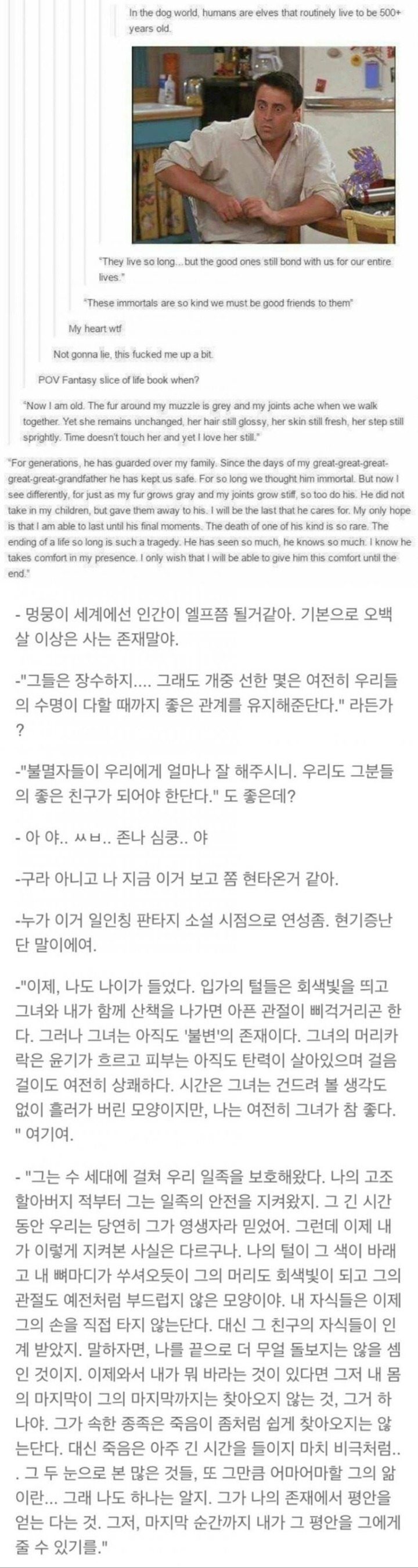 개들 눈에 보이는 인간.jpg | 인스티즈