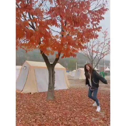181107 트와이스 인스타그램 틋스타 채영 미나 다현-가을 단풍잎 발차기 | 인스티즈