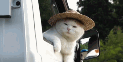 이제 집에가자옹.gif | 인스티즈
