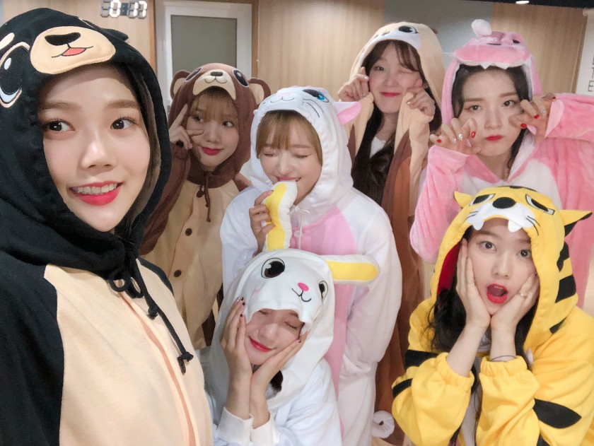 동물잠옷 오마이걸 (데이터 주의) | 인스티즈