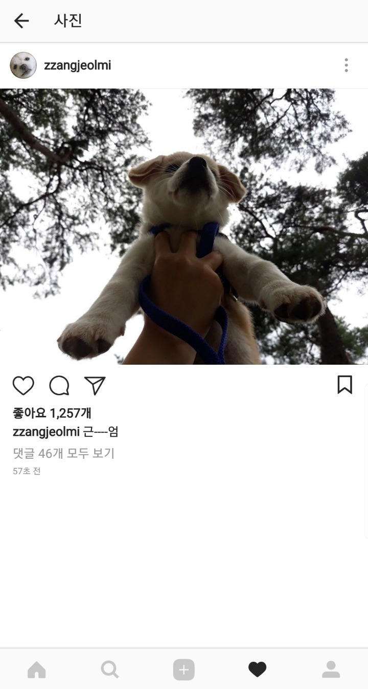 근-엄 짱절미.jpg | 인스티즈