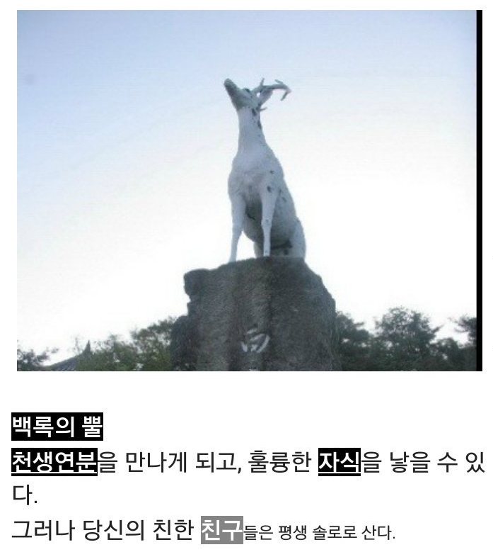 초능력을 주는 음식들 | 인스티즈