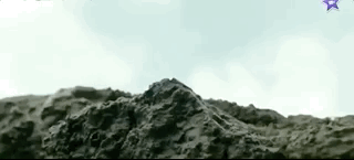 나만 아는 파라다이스로 서핑 하러 왔는데 죽은 고래가 있어여....gif | 인스티즈