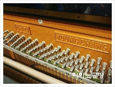 테라스121 이미지