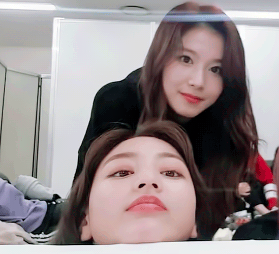 시바견인가 다람쥐인가....... 사나 | 인스티즈