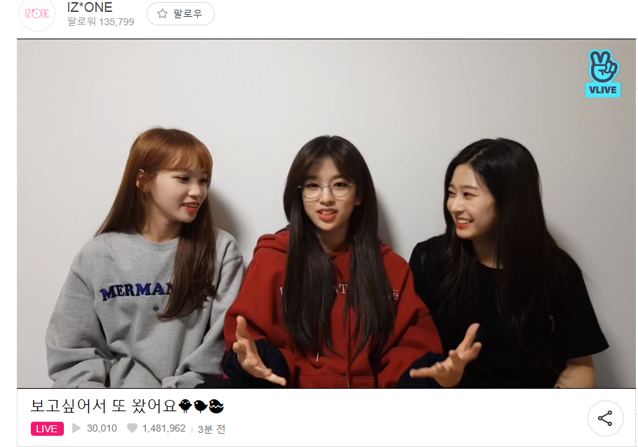 [아이즈원] 실시간, 또 Vlive 방송중인 아이즈원 멤버들 | 인스티즈