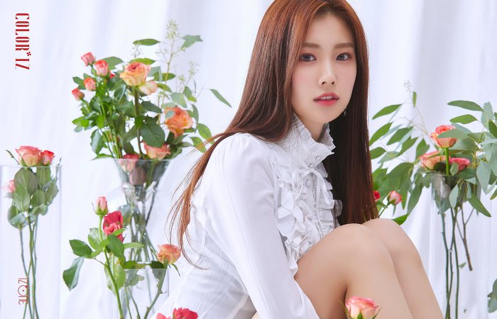 아이즈원 컨셉 컬러Ver. vs 로즈Ver | 인스티즈