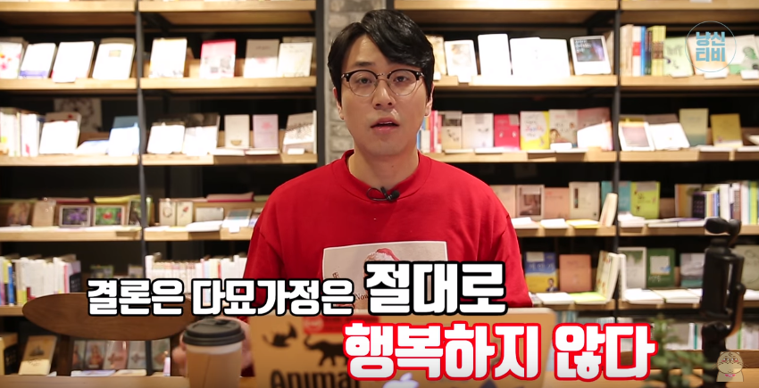 고양이 다묘가정이 행복할까? 혼자가 행복할까? (feat. 냐옹신) | 인스티즈
