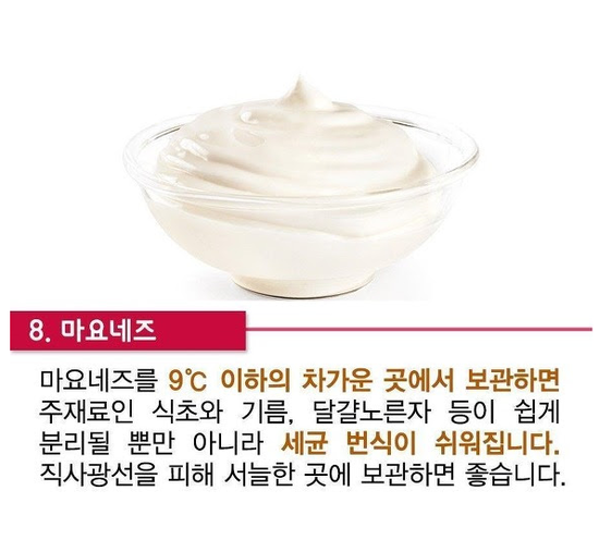 냉장고에 절대 넣지 말아야 할 음식 | 인스티즈