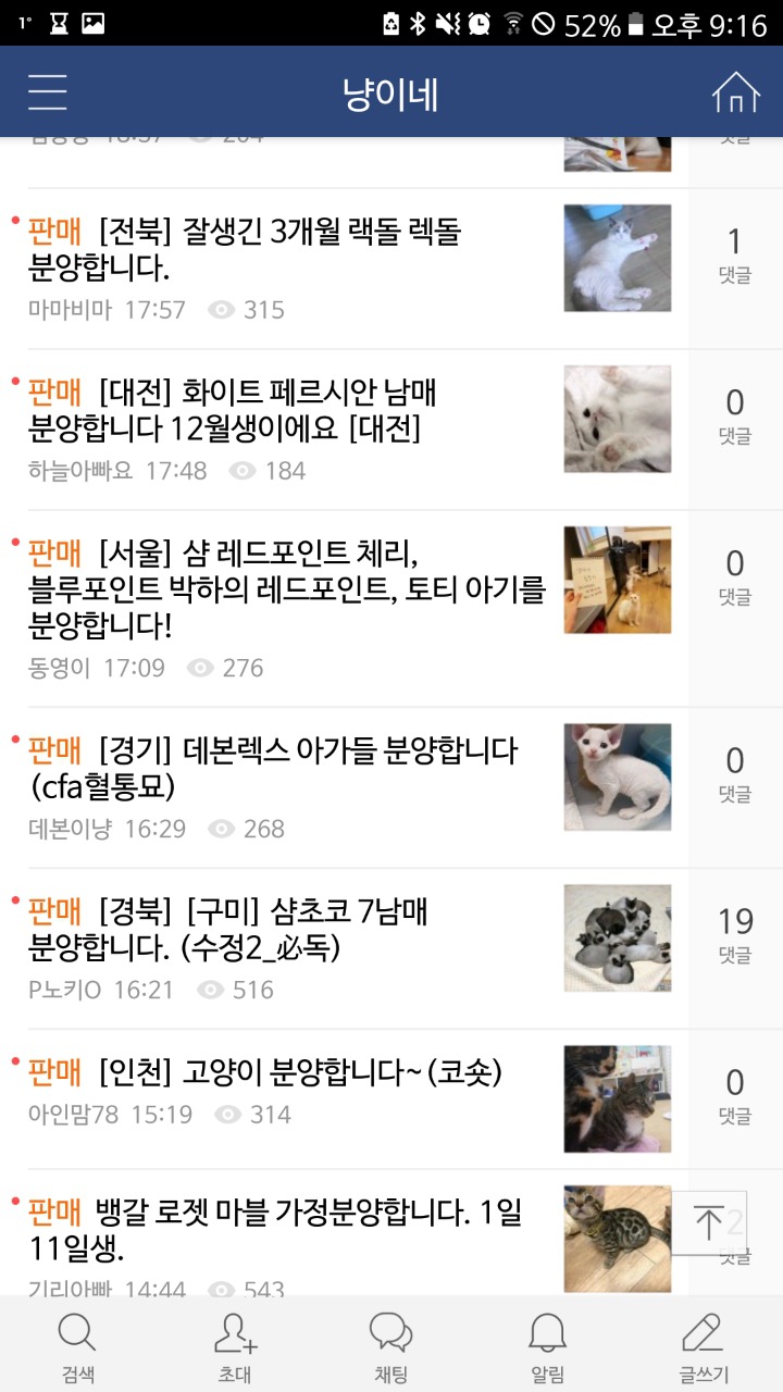 품종묘 교배.분양하는 네이버카페(냥이네) | 인스티즈