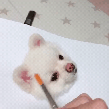 극사실주의 화가.gif | 인스티즈