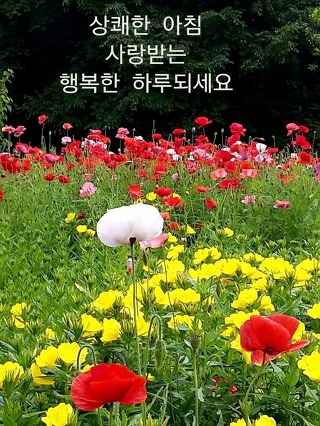 유앤유 이미지