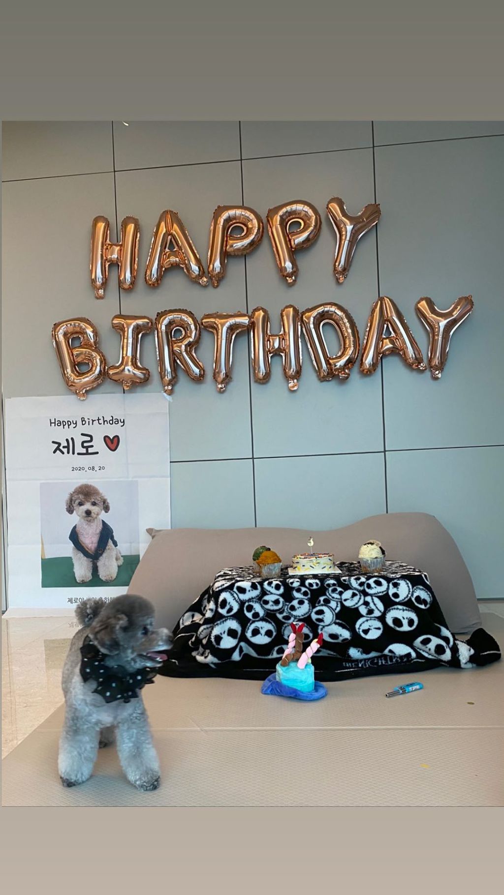 99943C415F3ECFEF08FBD4