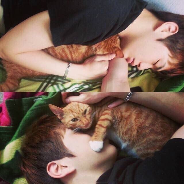 즈 이미지