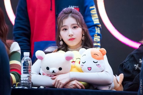 트와이스 사나 | 인스티즈