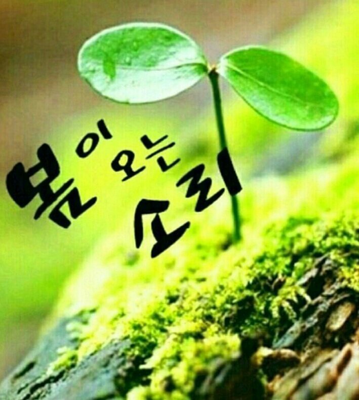 소리로 이미지