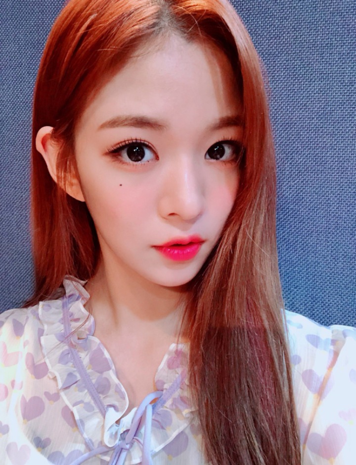 2채영 치아채영 둘채영 프로미스나인 이채영 | 인스티즈