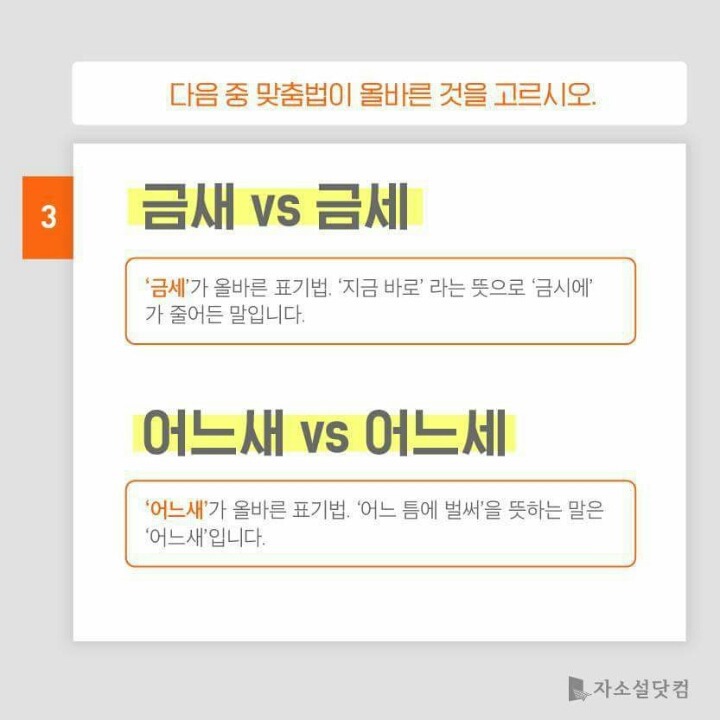 대학생들 50％가 틀리는 맞춤법 모음 | 인스티즈