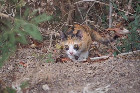 ???: 아 다크써클 아니라고 | 인스티즈