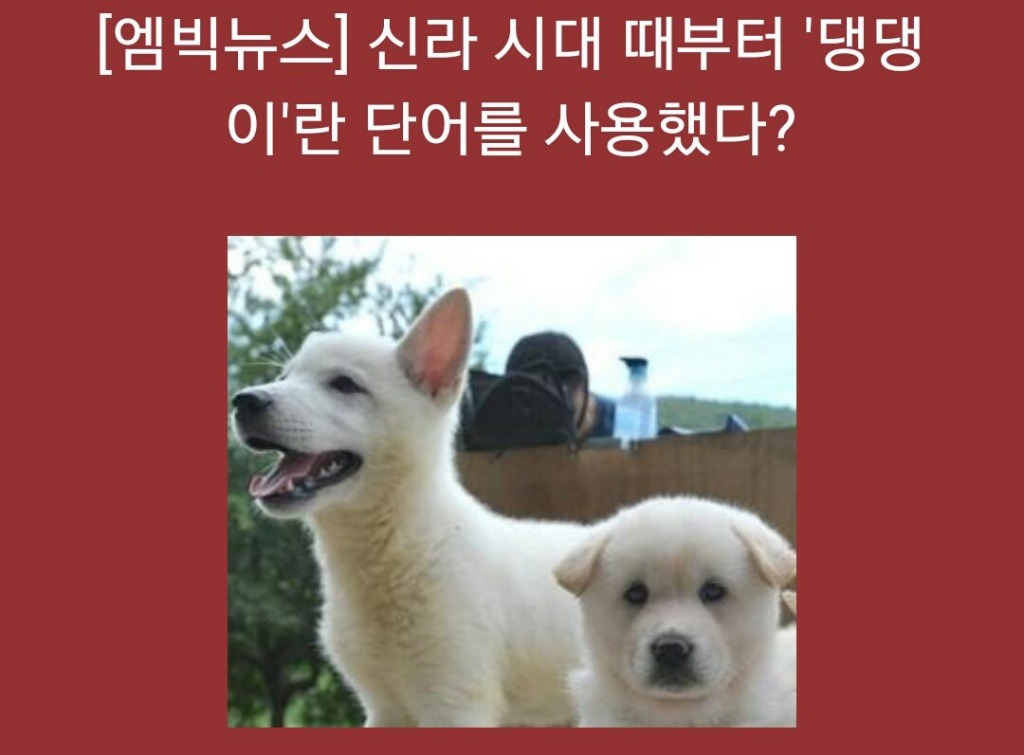 댕댕이는 신라 사람들이 쓰던 말 | 인스티즈