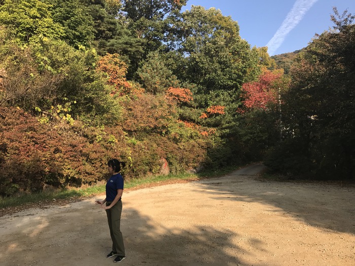 여성의집 이미지