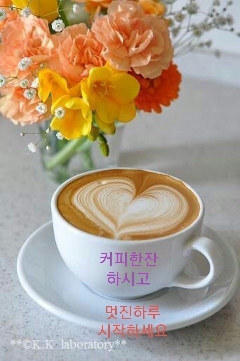 네잎크로바 이미지