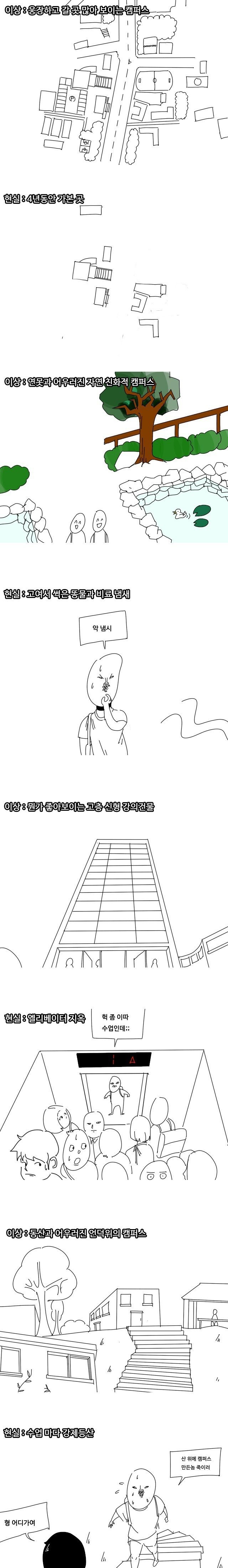 종합대학교 이상과 현실 | 인스티즈