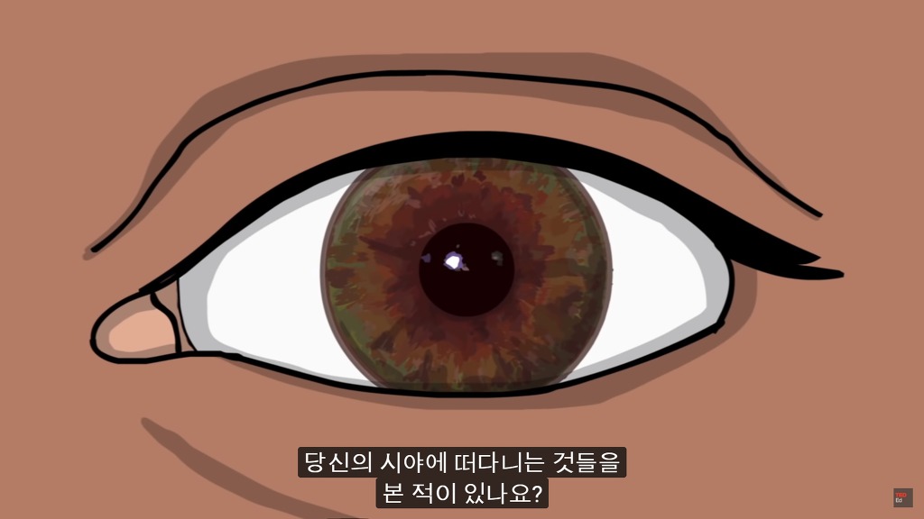 여러분의 눈에 둥둥 떠다니는 그것들은 무엇일까요? | 인스티즈