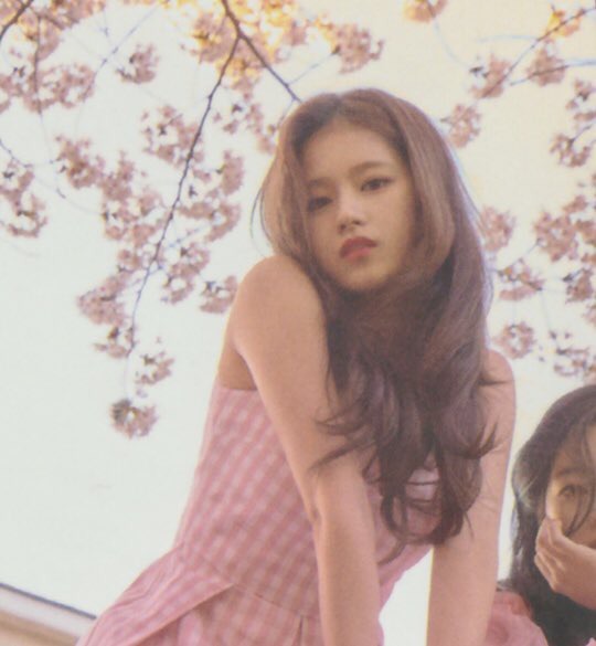 짱예로운 트와이스 사나 모음.jpgGIF | 인스티즈